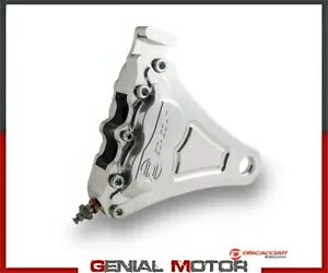 DISCACCIATI Lp[ A n[[_rbh\ SOFTAIL 2006- pbh Inc ʌ DISCACCIATI Caliper Rear Harley Davidson SOFTAIL 2006- Pads Inc Mirror Polished