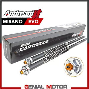 AhAj ACXg ~Tm G{ J[gbW g [j RT 1200 2006 2009- Andreani Einst Misano Evo Hydraulic Cartridge Moto Morini Corsaro 1200 2006 2009-