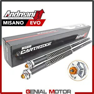 �A���h���A�j �����\�J�[�g���b�W�L�b�g �~�T�m �G�{ WP 43 �N���C�}�[ HKR EVO2 S 2022 2023- Andreani Adjustable Cartridge Kit Misano Evo WP 43 Kramer HKR EVO2 S 2022 2023- �y���s�A���i�z