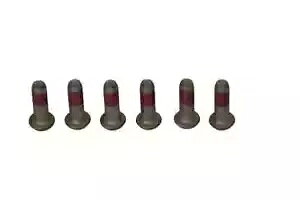 BMW R 1100 R ABS 1998-2001 TRW �u���[�L �f�B�X�N �X�N�����[ �Z�b�g MSS113-6- BMW R 1100 R ABS 1998-2001 TRW brake disc screw set MSS113-6- �y���s�A���i�z