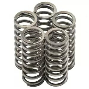 Kawasaki ZX10 B1-2 Tomcat 88-90 Newfren Nb` XvO Lbg MO073F- Kawasaki ZX10 B1-2 Tomcat 88-90 Newfren Clutch Spring Kit MO073F-