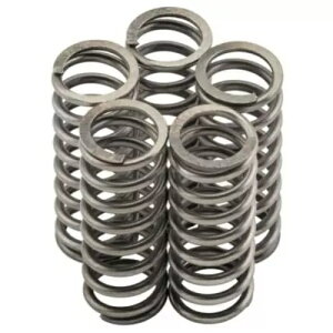 }n FZS1000 Fazer 01-05 j[tNb`XvOLbg MO087F- Yamaha FZS1000 Fazer 01-05 Newfren Clutch Spring Kit MO087F-