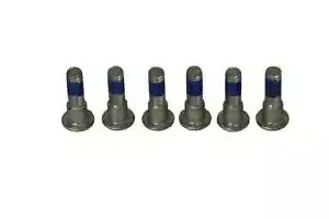 Triumph SPRINT 1050 ST ABS 2008-2010 TRW �u���[�L �f�B�X�N �{���g �Z�b�g MSS132-6 Triumph SPRINT 1050 ST ABS 2008-2010 TRW Brake Disc Bolt Set MSS132-6 �y���s�A���i�z