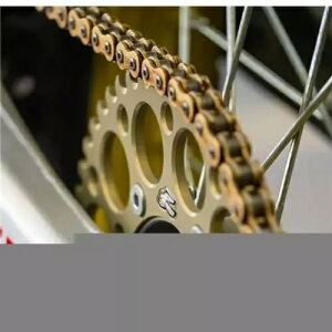 �g���C�A���t 765 �X�g���[�g �g���v�� /R/S/RS (520 ���[�X) 17-22 AFAM �t�����g �X�v���P�b�g 17 520 Triumph 765 Street Triple /R/S/RS (520 Race) 17-22 AFAM Front Sprocket 17 520 �y���s�A���i�z