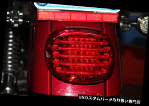 USe[Cg JX^_Ci~NXv[ur[ԐFLED YAC_Ee[Cgn[[ Custom Dynamics Probeam Red LED  Lens Rear laydown Taillight for Harley