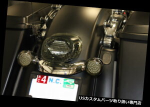 USe[Cg JX^_Ci~NX[vt@CX[NLEDe[Cg10-13n[[FLTRX FLHX Custom Dynamics Low Profile Smoked LED Tail Light 10-13 Harley FLTRX FLHX