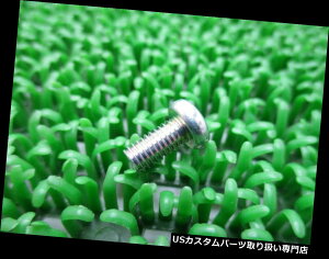 USwbhCg KAWASAKI{̐VI[goCp[c[t@[XwbhCgXN[220AA0510 992 KAWASAKI Genuine New Motorcycle Parts Zephyr X Headlight Rim Screw 220AA0510 992