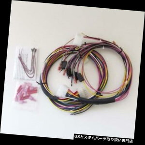 US^R[^[ LED[^[tI[g[^[2198jo[TQ[WC[n[lX Auto Meter 2198 Universal Gauge Wire Harness with LED Indicators