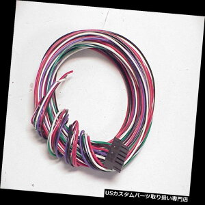 US^R[^[ NEW CV Products 19317iXJ[ECUpSpek-PropC[n[lX NEW CV Products 19317 Spek-Pro Replacement Wiring Harness for Nascar ECU