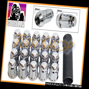 USibg 20 GORILLA SPLINE`[i[bNOibg12X1.25 1.25 ACORNzC[N[N[YN 20 GORILLA SPLINE TUNER LOCK LUG NUT 12X1.25 1.25 ACORN WHEEL RIM CHROME CLOSE N