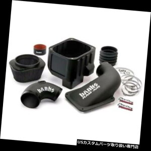USGACe[N Ci[_Ng sRamCtB^[2007.5-2010 GM 6.6L LMM DuramaxfB[[42172-D Banks Ram Air Intake Dry Filter 2007.5-2010 GM 6.6L LMM Duramax Diesel 42172-D