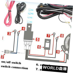 LEDCgo[ ՓILED̃Cgo[̃tHOv̔zpn[lXLbg40A 12VXCb`[q[Y Universal LED Light Bar Fog Light Wiring Harness Kit 40A 12V Switch Relay Fuse