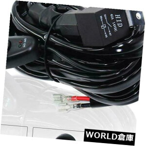LEDCgo[ J[CgXCb`P[uO[vLEDCgo[[NCgzn[lXq[Y40A Car Light Switch Cable Group LED Light Bar Work Light Wiring Harness Fuse 40A