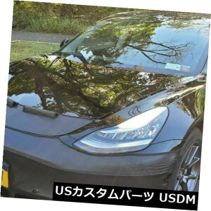 �V�i Colgan CF Front Mask Bra 2pc.Fits Tesla Model 3 2018-2019 With License  Sensor