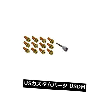 A}t[ XyN^[ptH[}X46723wb_[{gZbg Spectre Performance 46723 Header Bolt Set