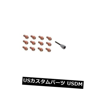 A}t[ XyN^[ptH[}X46703wb_[{gZbg Spectre Performance 46703 Header Bolt Set