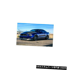 ボンネット 10-14フォードマスタングTruFiberカーボンファイバーGT500 KRボディキット-フードTC10025-A49-3K R 10-14 Ford Mustang TruFiber Carbon Fiber GT500 KR Body Kit- Hood TC10025-A49-3KR