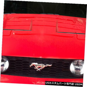 {lbg 05-09tH[h}X^OCVXftbNX{fBLbg-t[h!!! 113340 05-09 Ford Mustang CVX Duraflex Body Kit- Hood!!! 113340