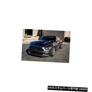 {lbg 15-17tH[h}X^OTruFiberJ[{t@Co[3C`JE{fBLbg-t[h!!! TC10026-A49-3 15-17 Ford Mustang TruFiber Carbon Fiber 3" Cowl Body Kit- Hood!!! TC10026-A49-3