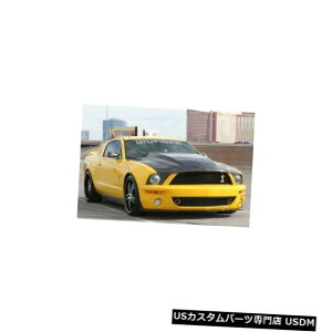 {lbg 05-09tH[h}X^OGT500gD[J[{t@Co[3C`JE{fBLbg-t[hTC10024-A49-3K R 05-09 Ford Mustang GT500 Tru-Carbon Fiber 3" Cowl Body Kit- Hood TC10024-A49-3KR