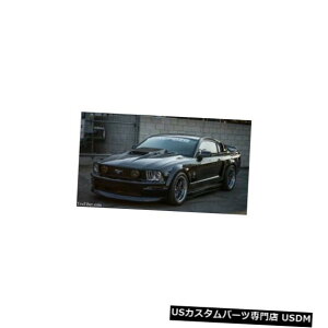 {lbg 05-09tH[h}X^OTruFiberXpC_[{fBLbg-t[h!!! TF10024-A14 05-09 Ford Mustang TruFiber Spyder Body Kit- Hood!!! TF10024-A14