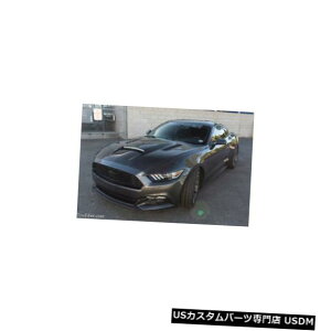 {lbg 15-17tH[h}X^OTruFiberJ[{t@Co[SH-GT{fBLbg-t[h!!! TC10026-A72 15-17 Ford Mustang TruFiber Carbon Fiber SH-GT Body Kit- Hood!!! TC10026-A72
