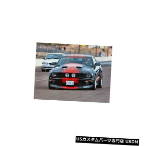 {lbg 05-09tH[h}X^OTruFiber}bn1{fBLbg-t[h!!! TF10024-A29 05-09 Ford Mustang TruFiber Mach 1 Body Kit- Hood!!! TF10024-A29