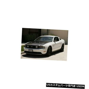 {lbg 10-14tH[h}X^OTruFiberJ[{t@Co[GT-S{fBLbg-t[h!!! TC10025-A42 10-14 Ford Mustang TruFiber Carbon Fiber GT-S Body Kit- Hood!!! TC10025-A42