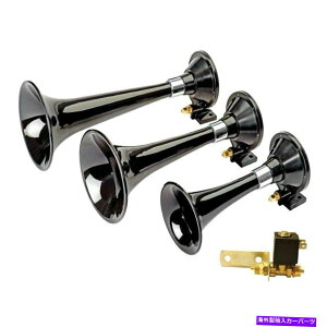 Train Horn Wolo 875���[���G�N�X�v���X�g���C���z�[�� Wolo 875 Euro Express Train Horn