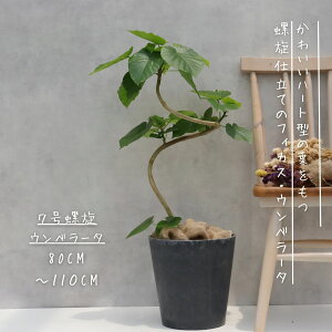 tBJX Ex[^ Ȃ  d S̖ j Mtg JXj bsO  ϗtA v[g  Ε MѐA 7