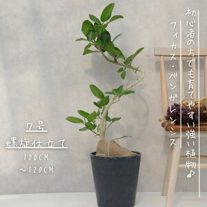 tBJX xKVX Ȃ  d 7 S̖ j Mtg JXj ϗtA bsO  xKVX ϗtA v[g Vzj  Ε MѐA Iׂ