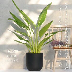 ^rrgmL l̖ 8 l m I[KX^ Ml ϗtA Xg`A ^rrgmL Y j Mtg JXj ϗtA bsO  Vzj ϗtA v[g M