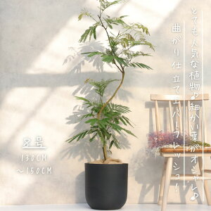 Go[tbV Ȃ d 8 j Mtg JXj Vzj bsO  ϗtA v[g  Ε MѐA