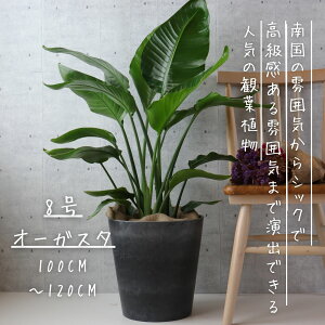 I[KX^ ϗtA Xg`A I[KX^ 8 7 ϗtA I[KX^ Xg`A Ml 8 Xg`AMl Y j Mtg JXj ϗtAbsO  ϗtA v