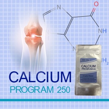 正規品 CALCIUM 人気商品 PROGRAM 250 増量版 2個販売 カルシウムプログラム250 サービス 骨 送料無料 成長 カルシウムサプリメントカルシウムプログラム 子供 サポートサプリメント