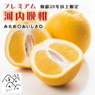 【5/20は全商品P10倍】プレミアム河内晩柑【樹齢20年以上限定！】みため〇美味しさ◎ お中元 ギフト 贈答…