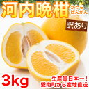 【送料無料】河内晩柑3kg 訳あり M〜2L【愛媛県愛南町産かわちばんかん】 ランキングお取り寄せ