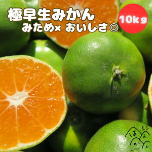 QY ɑ݂ 󂠂 3kg 5kg 10kg S-L݂× ykCE͏z