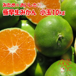 みかん10kgの通販 価格比較 価格 Com