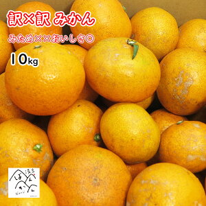 × ݂ 3kg 5kg 10kg KiO 傫s ݂××Z Z[ 󂠂 Yn QYykCE͏z