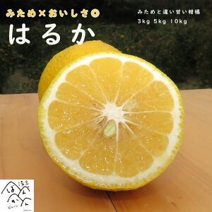 �Â��D�����H�� �͂邩 �󂠂� ���� M-2L 3kg 5kg 10kg �݂���×���������� �Y�n�����Z�[�� ���Q���Y�y���������z
