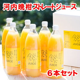 河内晩柑 ジュース 6本入り 愛媛県愛南町産【かわちばんかん贅沢な果汁100％】【送料無料※北海道・沖縄は除く】