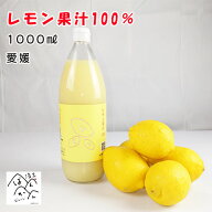 愛媛産レモン果汁ストレート 100％（1000ml 1本 ）国産 愛媛県愛南町産レモン 業務用 セール【送料無料】