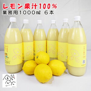 ���Q�Y�������ʏ`�X�g���[�g 100���i1000ml×6�{ �j���Y ���Q�����쒬�Y������ �Ɩ��p�Z�[���y���������z