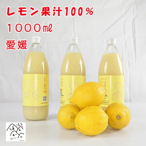 ���Q�Y�������ʏ`�X�g���[�g 100���i1000ml×3�{ �j���Y ���Q�����쒬�Y������ �Ɩ��p�Z�[���y�����������k�C���E����͏����z