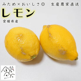 レモン みため×おいしさ◎【選べる内容量2kg～10kg】 訳あり 生産農家直送【防腐剤 ワックス不使用】安心の愛媛県愛南町産 「りのか・アレンユーレカレモン・ リスボンレモン・マイヤーレモン」送料無料
