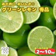 【9/30まで100円OFFクーポンあり】グリーンレモン みため〇おいしさ◎【選べる内容量2kg～10kg】秀品 生…