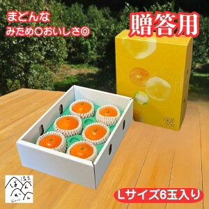 Ε܂ǂ LTCY 6ʓ ݂߁Z  vvH 28yg}hiƓizp Mtg Â ʕ t[c  QYykCE͏z