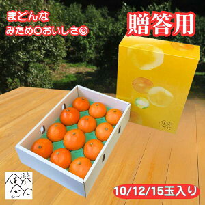 Ε ܂ǂ 3kg 10ʁ`15ʓ ݂߁Z  vvH 28yg}hiƓizp Mtg Â ʕ t[c  QYykCE͏