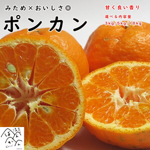 \300~OFFN[| |J 󂠂 M-2L  3kg 5kg 10kg ݂× ÂǂIʕ YnZ[ QYykCE͏zƂ΂񂩂rbW